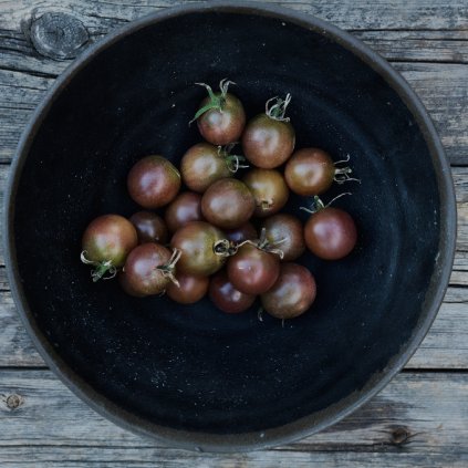 38142 1 negro azteca 2