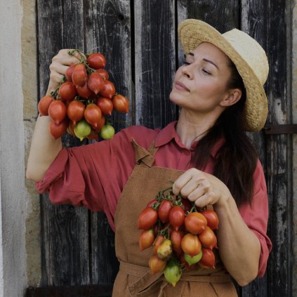 38145 pinelini del vesuvo