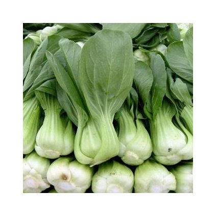 Zelí čínské Pak Choi Shanghaiské zelené