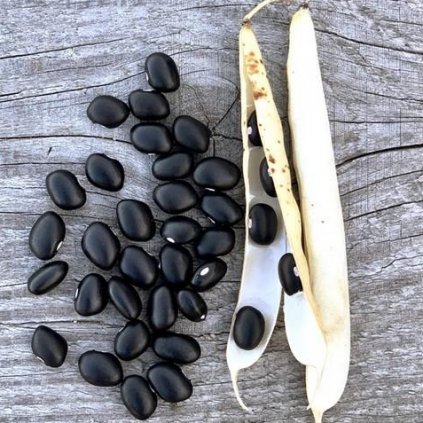 3847 fazole cerna starazagorska