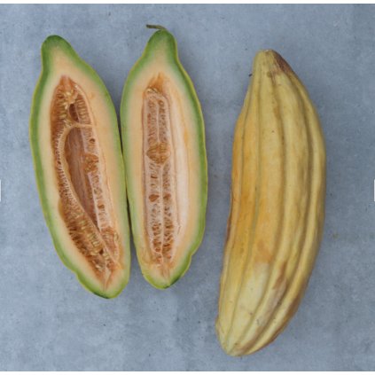 38616 screenshot 2024 12 12 at 20 23 20