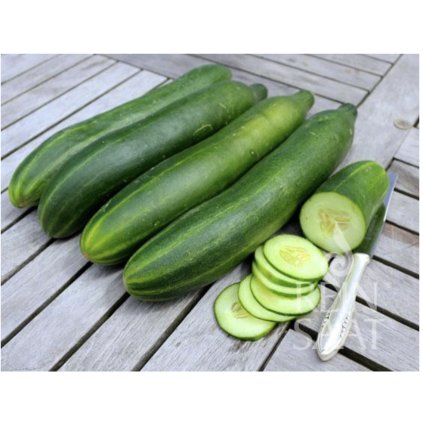 38631 screenshot 2025 01 09 at 11 15 46