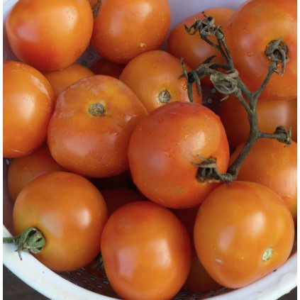 38652 1 screenshot 2025 01 07 at 18 41 26