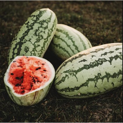 38661 1 screenshot 2025 01 09 at 13 30 40