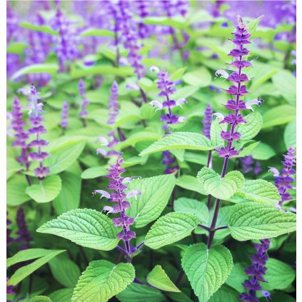 38664 screenshot 2025 01 23 at 23 32 29