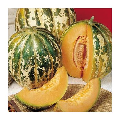 Meloun cukrový Oranžový ananas