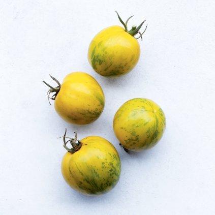 387 rajce zelena zebra