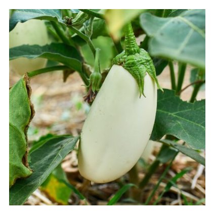 38880 screenshot 2025 02 10 175753