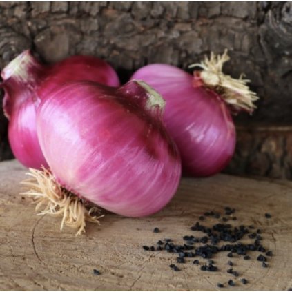 38910 screenshot 2025 02 09 at 21 54 10