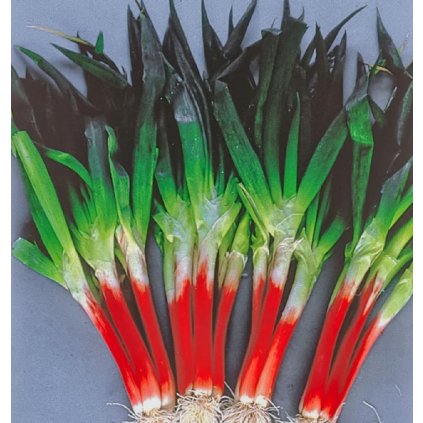 38934 screenshot 2025 05 30 at 16 42 06