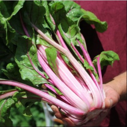 38937 screenshot 2025 05 30 at 16 47 41