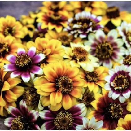 38958 screenshot 2025 01 27 at 15 17 50