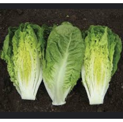 38961 screenshot 2025 03 25 at 12 36 20