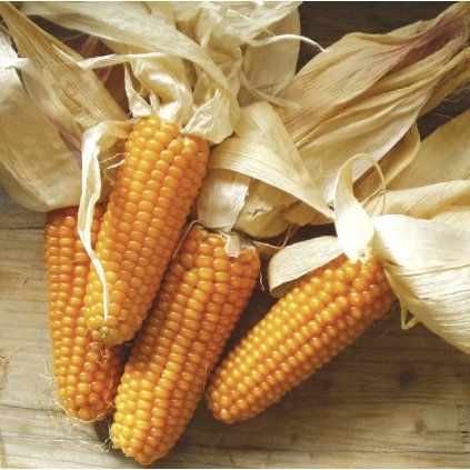 38967 screenshot 2025 01 25 at 0 22 36