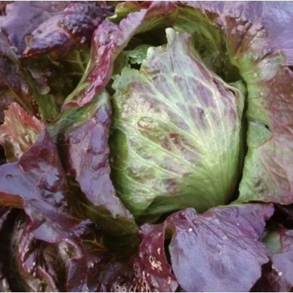 38970 screenshot 2025 06 05 at 13 59 00