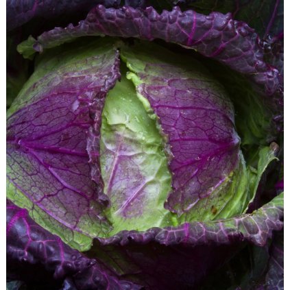 39006 screenshot 2025 05 30 at 16 54 52