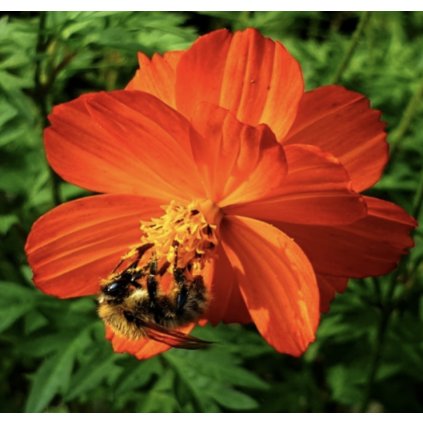 39018 screenshot 2025 03 12 at 10 14 35