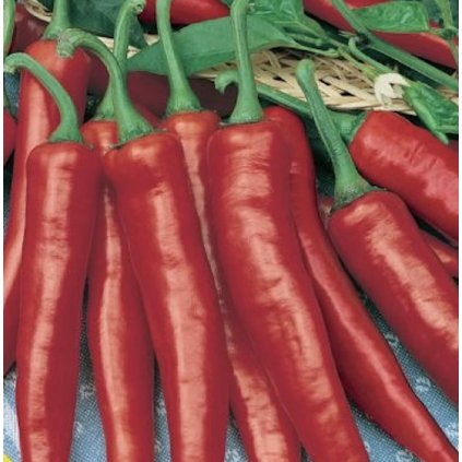 39030 screenshot 2025 01 23 at 16 32 57