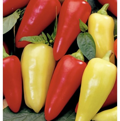 39048 screenshot 2025 01 24 at 23 42 04