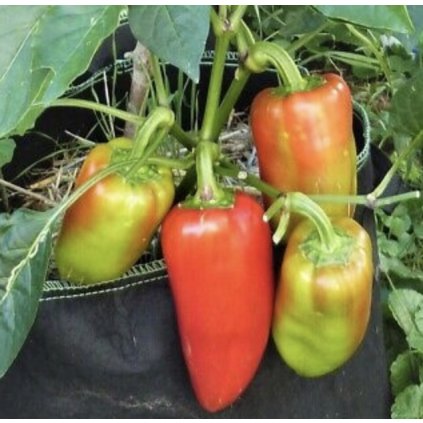 39063 screenshot 2025 02 02 at 20 08 17