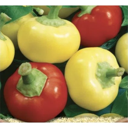 39069 screenshot 2025 02 02 at 20 31 18