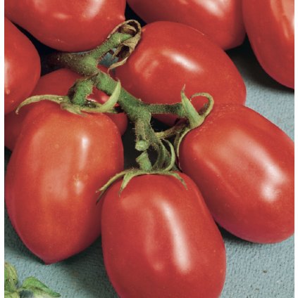 39081 screenshot 2025 02 04 at 16 01 19