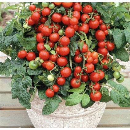 39087 screenshot 2025 02 04 at 16 10 50