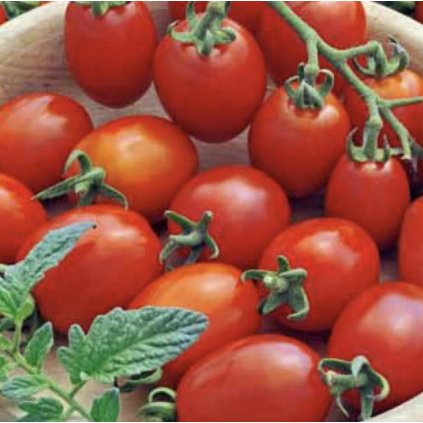 39090 screenshot 2025 02 04 at 16 13 59