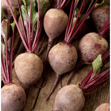 39609 screenshot 2025 02 08 at 8 21 49