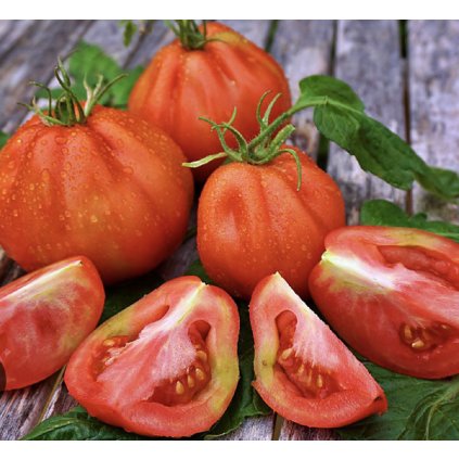 39624 2 screenshot 2025 02 07 at 0 28 46