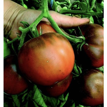 39627 screenshot 2025 02 06 at 23 57 55