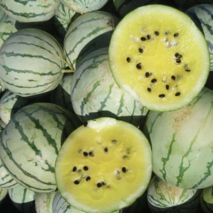 39651 screenshot 2025 02 08 at 0 10 30