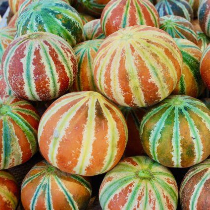 Melon Kajari