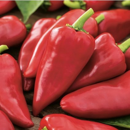 39675 screenshot 2025 02 09 at 9 22 26