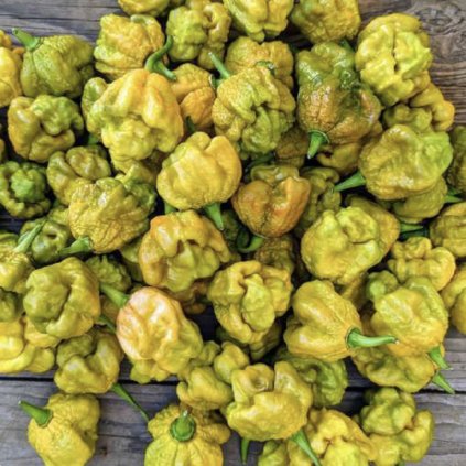 Screenshot 2026 01 09 at 19.36.51