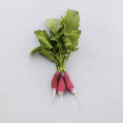 396 redkvicka francouzska snidanova