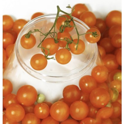 39927 screenshot 2025 05 07 at 21 57 07