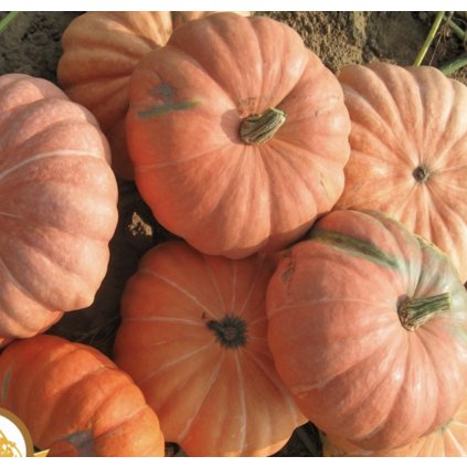 39948 screenshot 2025 03 18 at 16 52 41