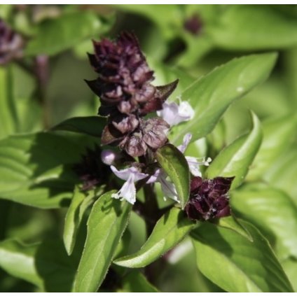 39969 screenshot 2025 04 02 at 16 53 03