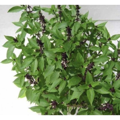 39978 screenshot 2025 04 02 at 14 37 07