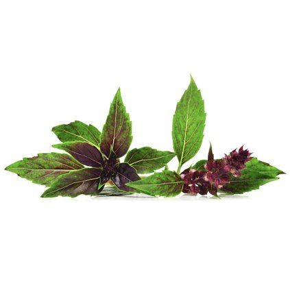 39981 screenshot 2025 04 02 at 16 30 21