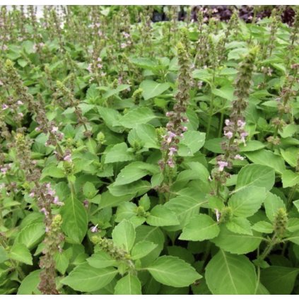 39984 screenshot 2025 04 02 at 14 52 13