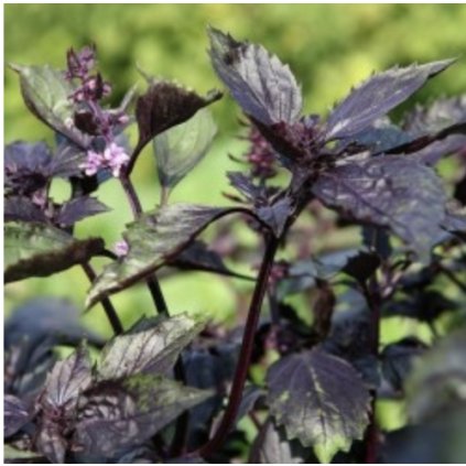 39987 screenshot 2025 04 02 at 15 55 04