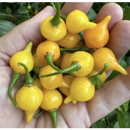 Screenshot 2026 01 13 at 14.10.26