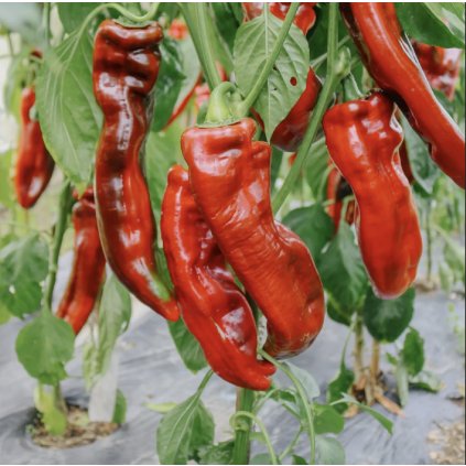 40011 screenshot 2026 01 08 at 22 22 08