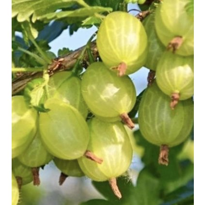 Screenshot 2025 04 09 at 23.03.57