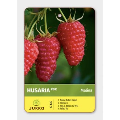 Screenshot 2025 04 15 at 17.17.54