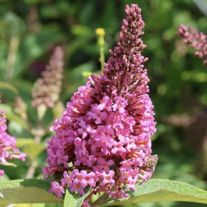 Screenshot 2025 04 15 at 17.27.09