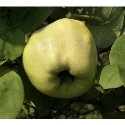 Screenshot 2025 04 17 at 0.27.51