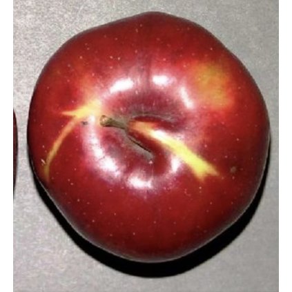 Screenshot 2025 04 17 at 10.13.57